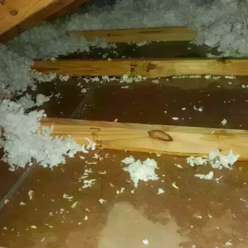 Attic Water Damage in Cedar Lake, IN