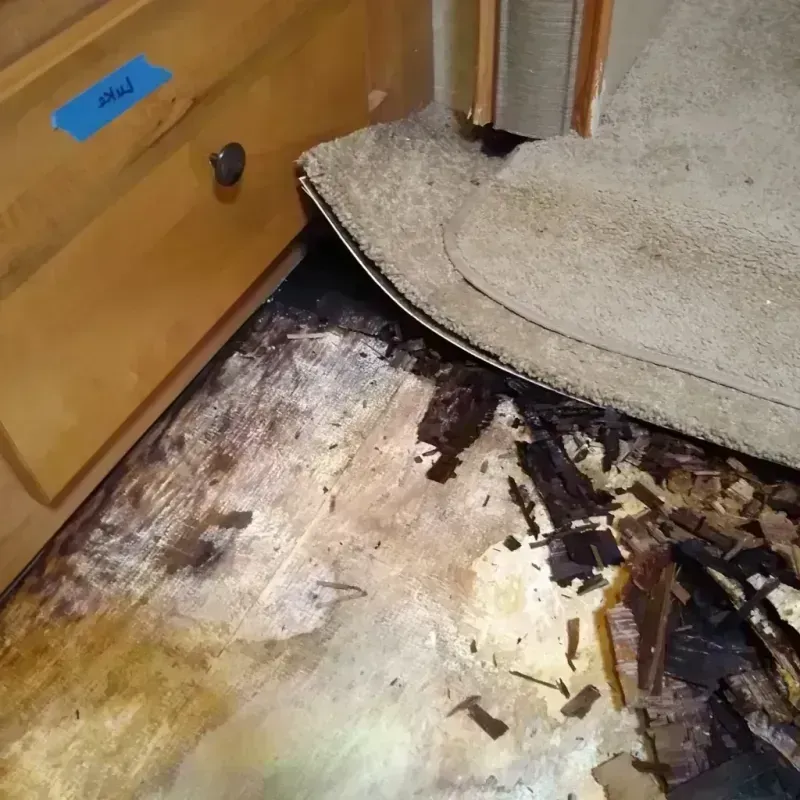 Wood Floor Water Damage in Cedar Lake, IN